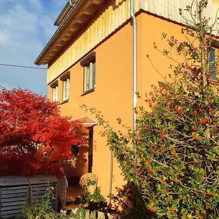 Apartament Haus Meersburg Rebe Zewnętrze zdjęcie