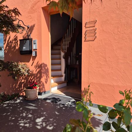 Haus Meersburg Rebe Zewnętrze zdjęcie