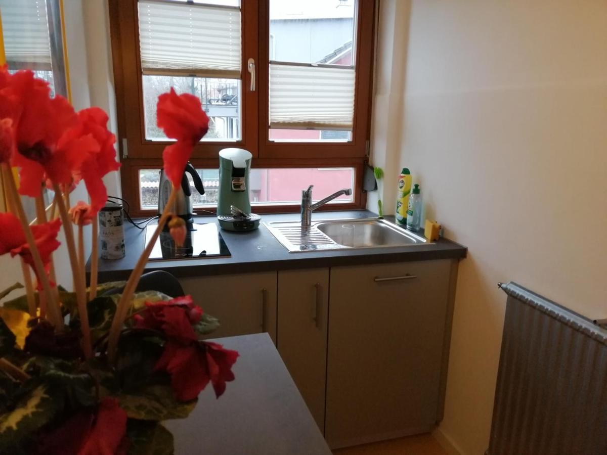 Apartament Haus Meersburg Rebe Zewnętrze zdjęcie